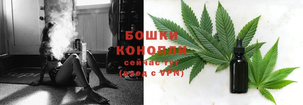 PSILOCYBIN Абаза