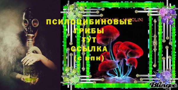 PSILOCYBIN Абаза