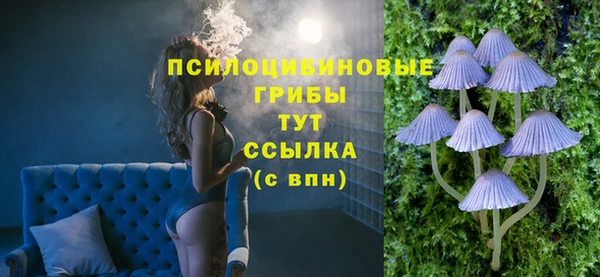 PSILOCYBIN Абаза