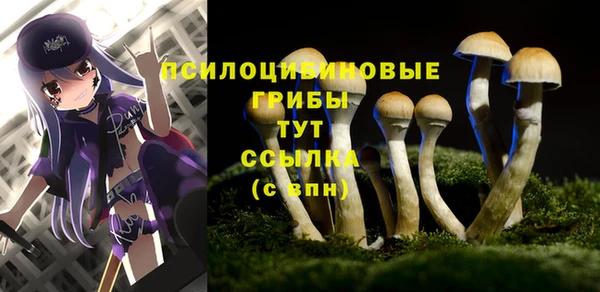 каннабис Алзамай