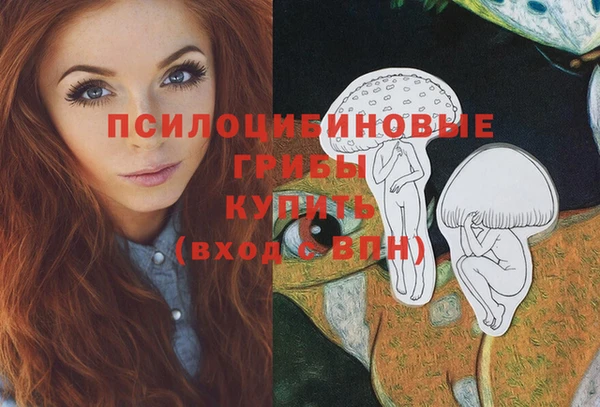 PSILOCYBIN Абаза