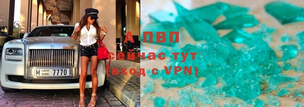 PSILOCYBIN Абаза